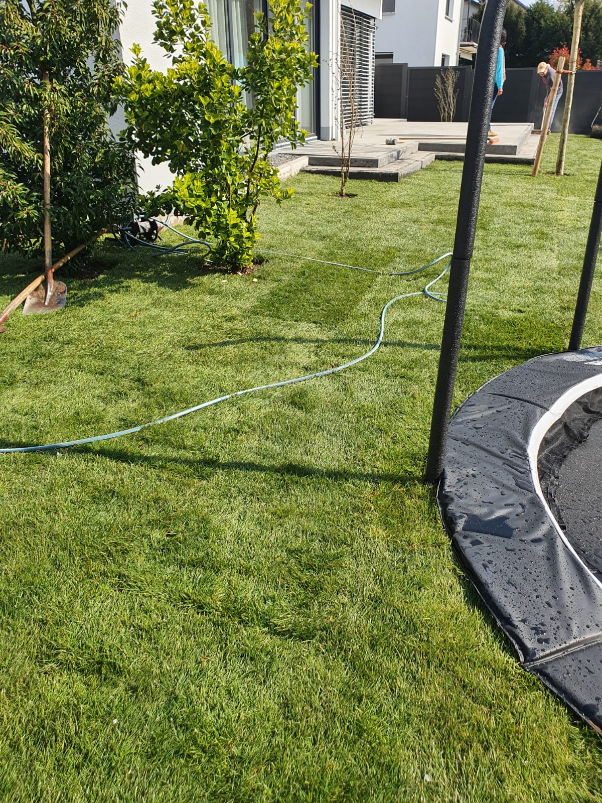 Einfahrt gestalten – Ideen und Materialien für einen starken ersten Eindruck