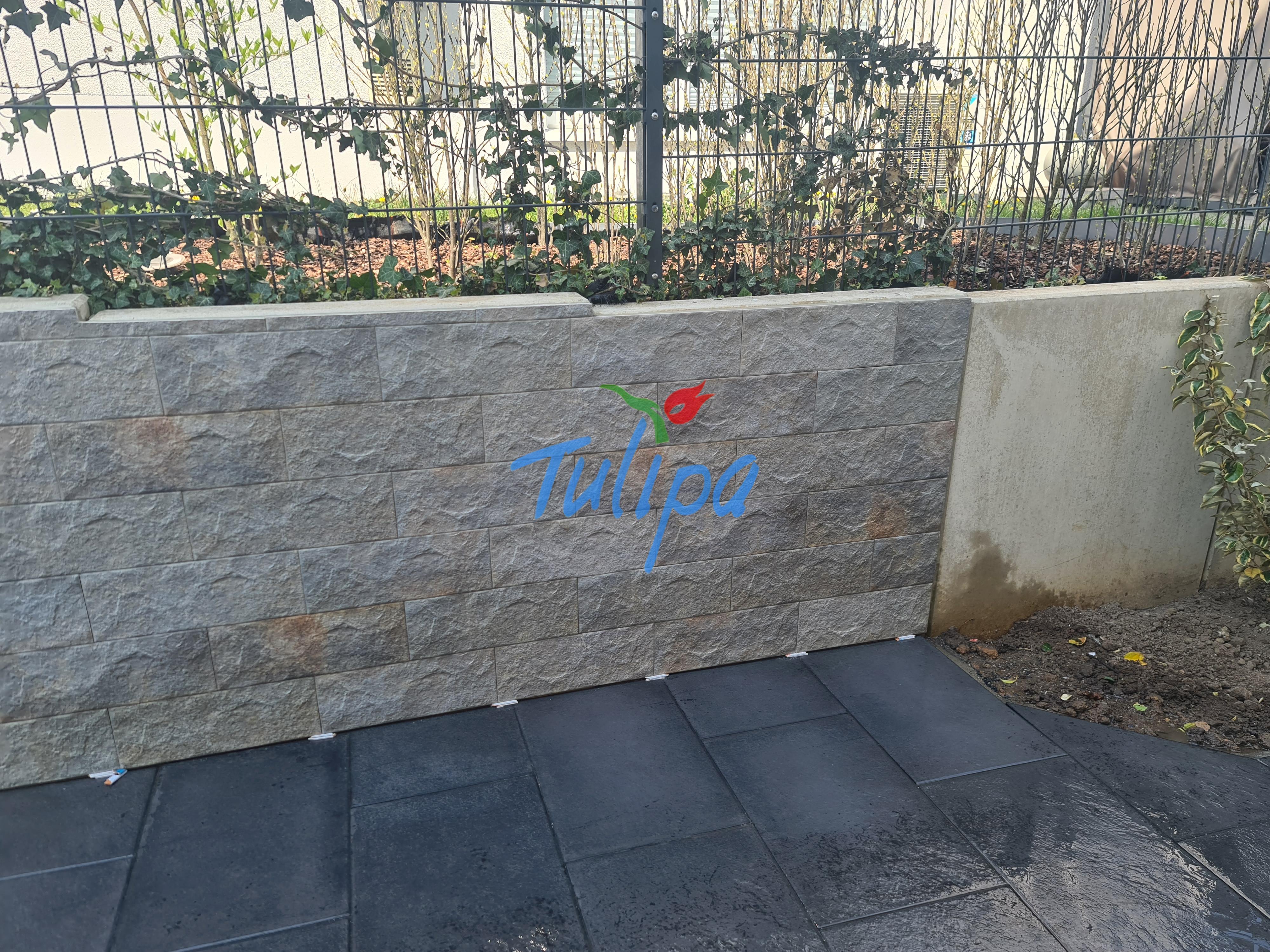 Gabionenmauer als Sichtschutz – Robust, modern und vielseitig einsetzbar