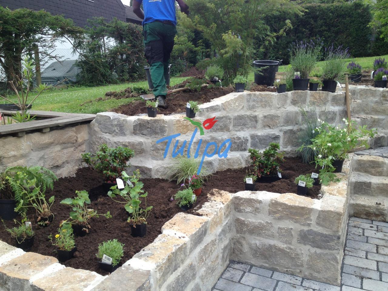 Garten nach dem Hausbau – So machen Sie aus der Baustelle eine Oase