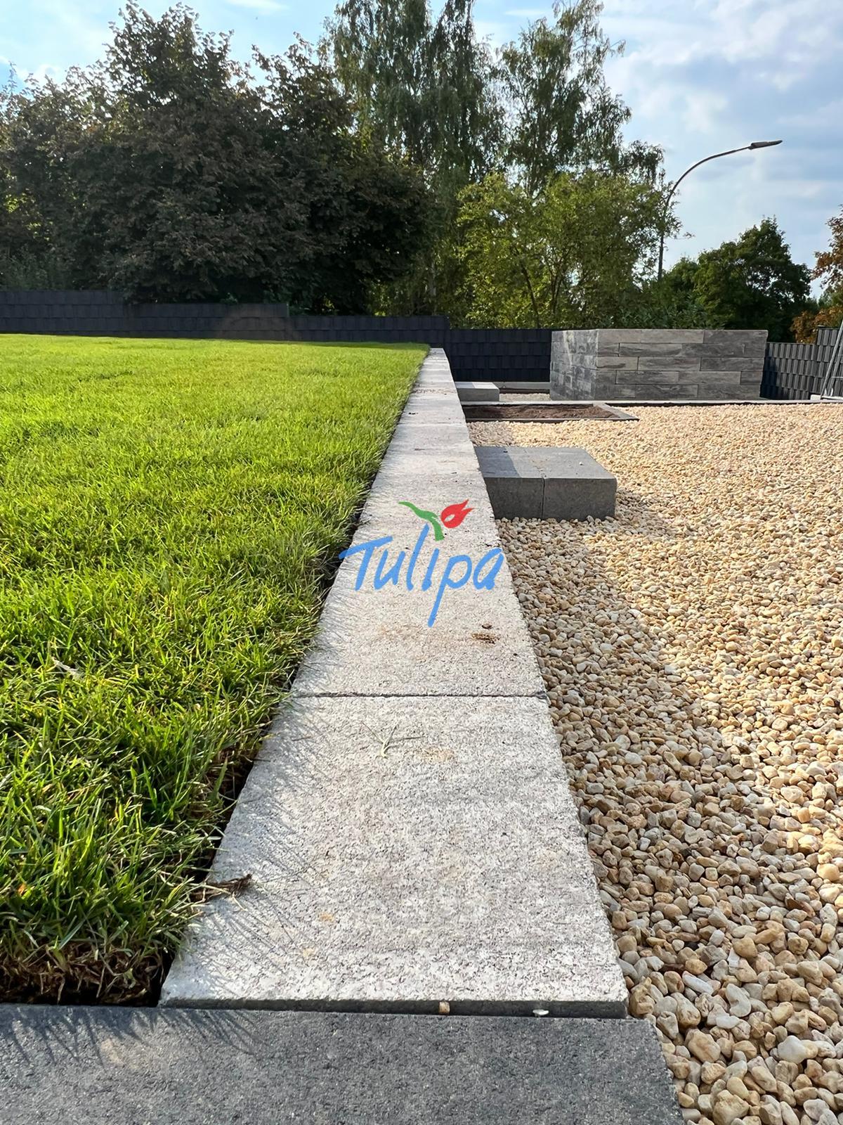 Unkraut im Pflaster dauerhaft loswerden – Die komplette Strategie