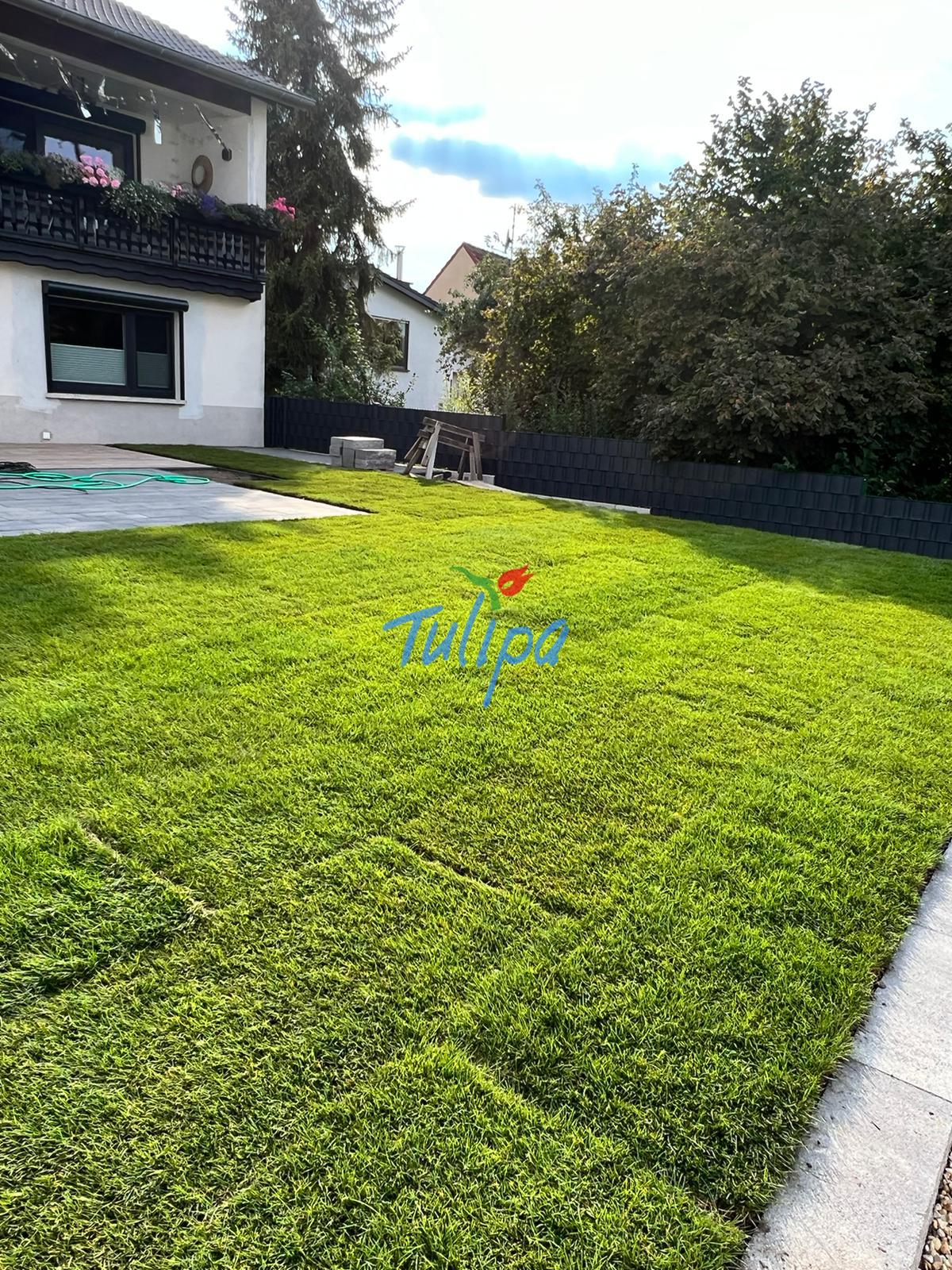 Gartenpflege nach dem Winter – Die wichtigsten Arbeiten im Frühjahr