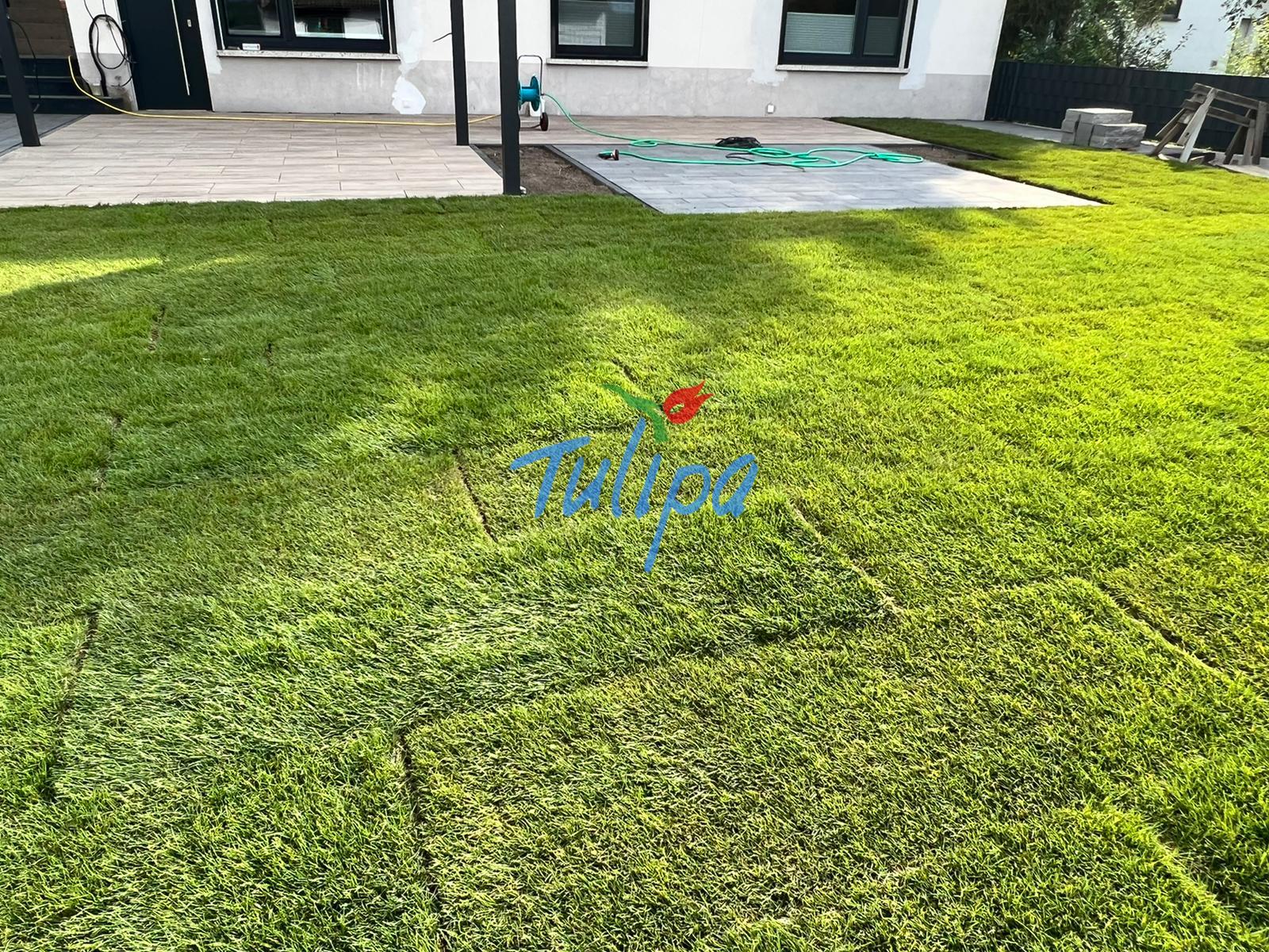 Rasen oder Pflaster – Wie viel Grün braucht ein Garten wirklich?