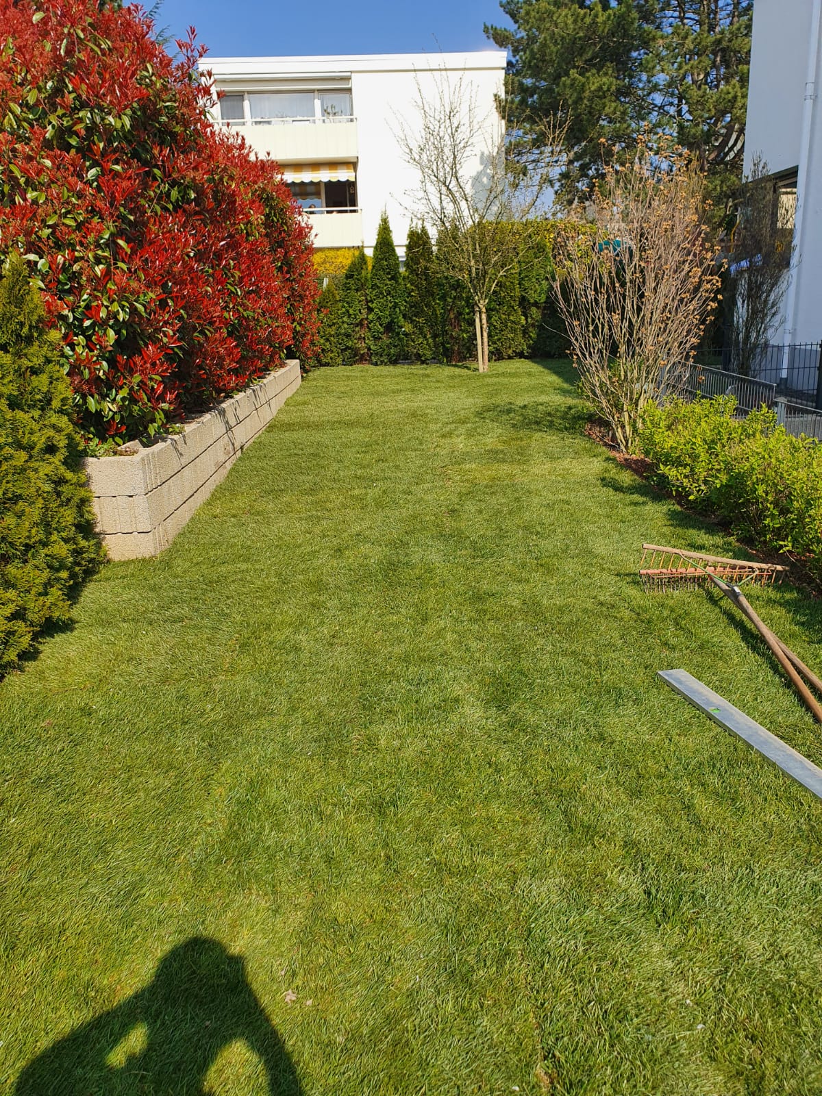 Terrasse aus Holz oder Stein – Welches Material hält, was es verspricht?