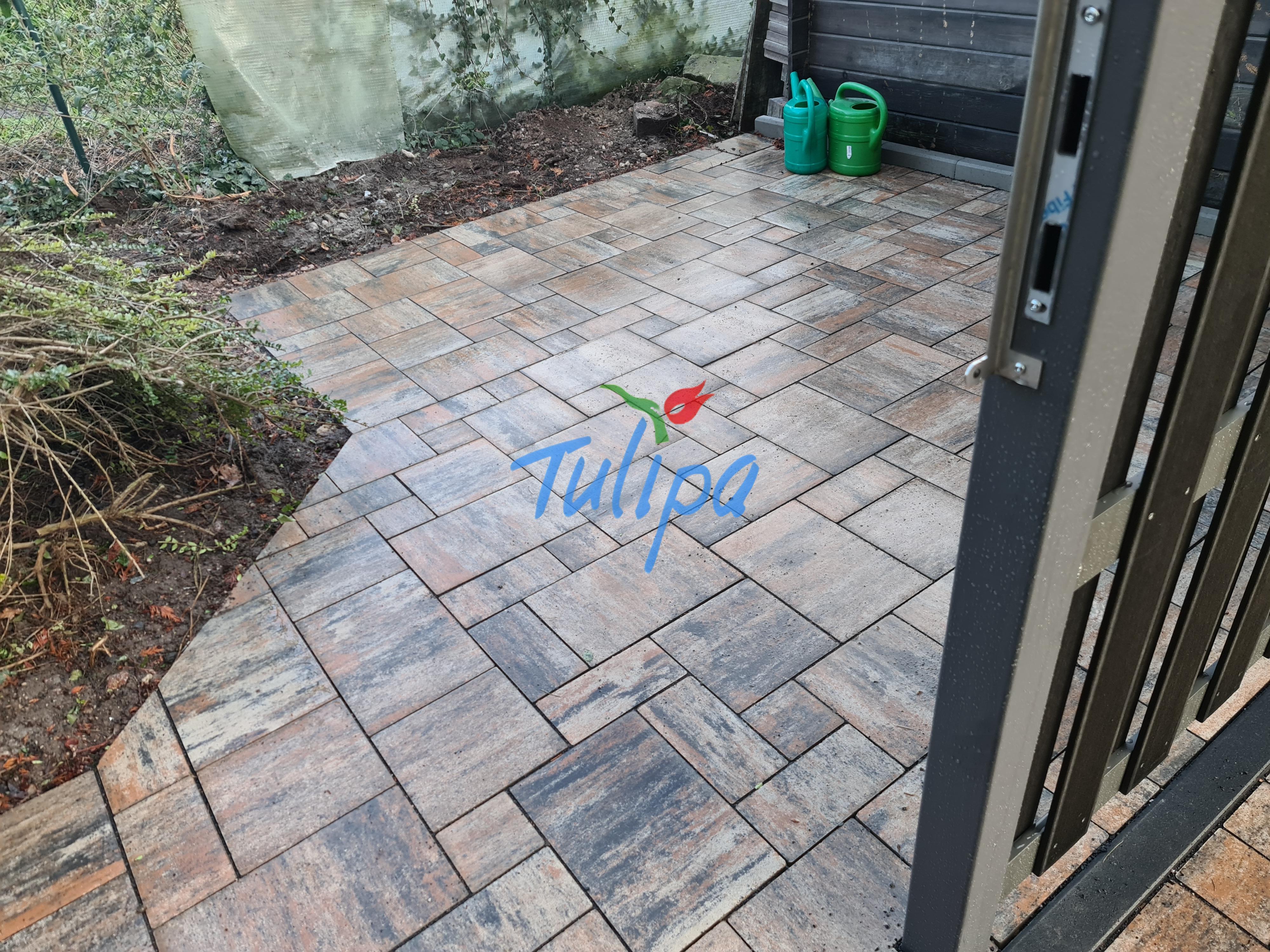 Sichtschutz im Garten – Alle Optionen im Überblick